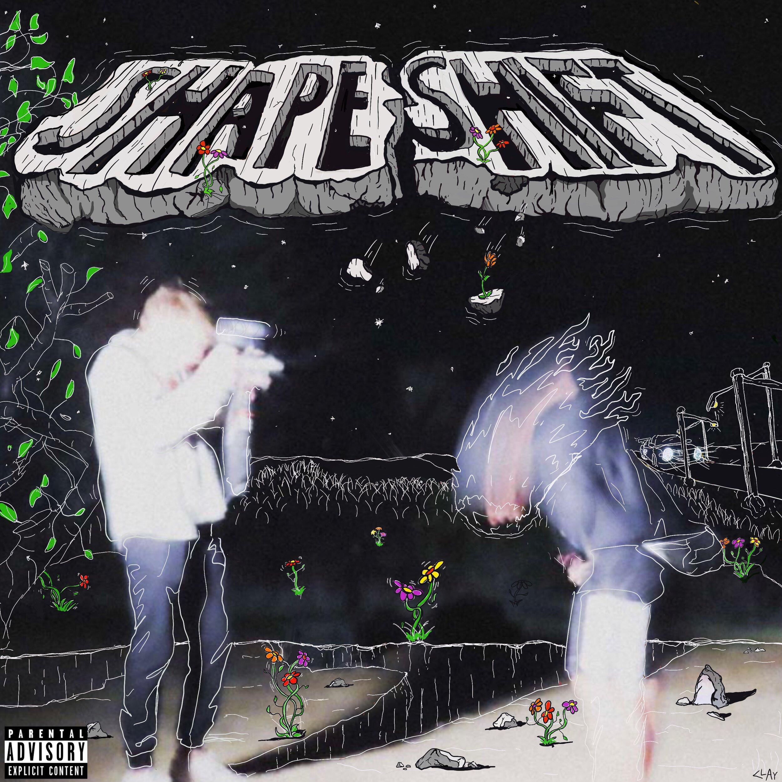 ss cover art