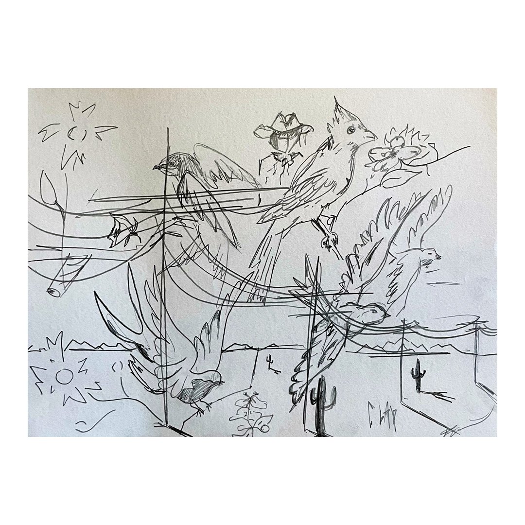 bird drawing