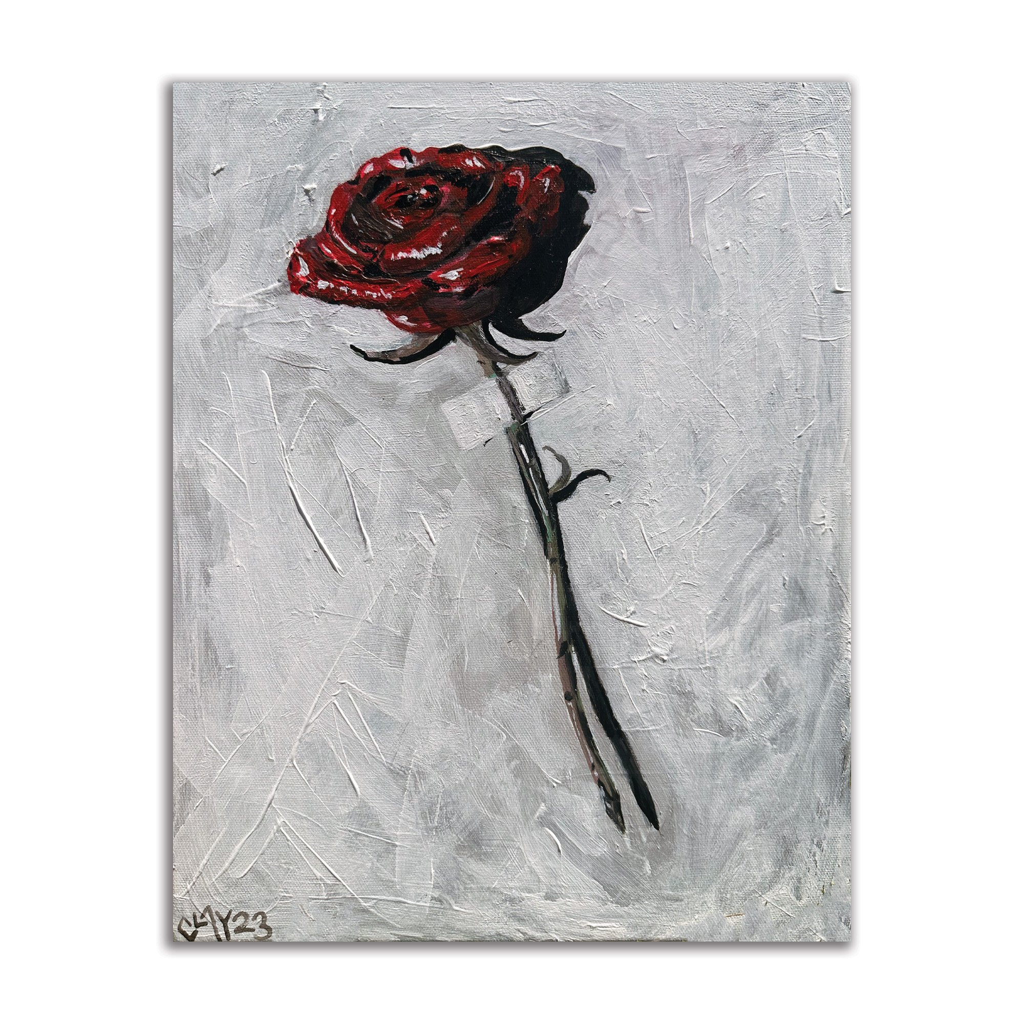 a rose is a rose is a rose